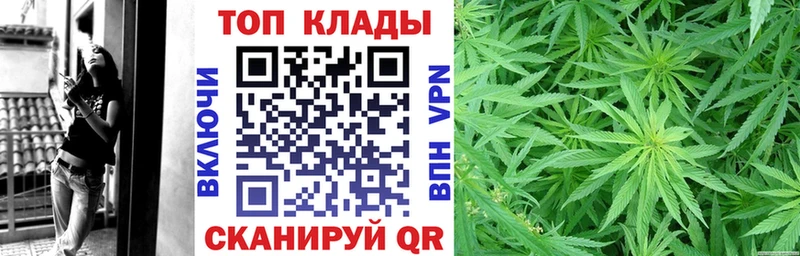 Купить Мураши КОКАИН СК Конопля МЕФ