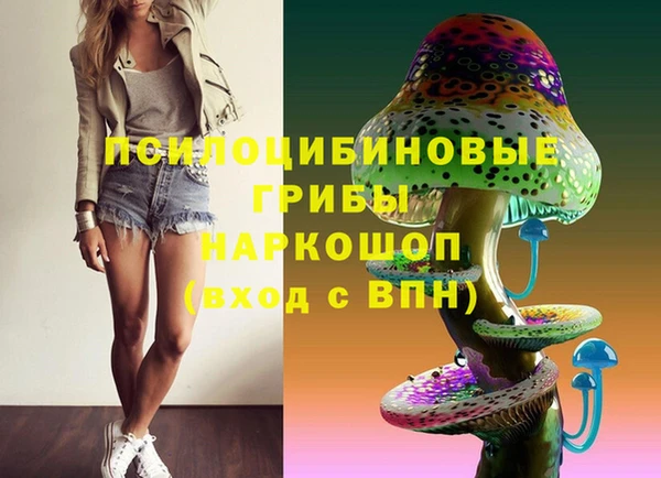 прущая мука Армянск