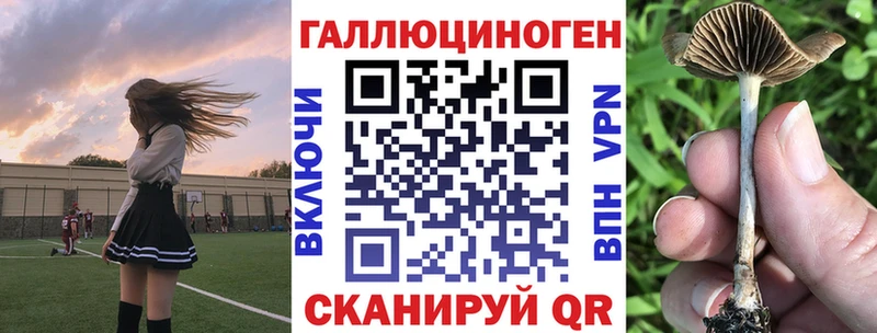 закладка  Мураши  Псилоцибиновые грибы Magic Shrooms 